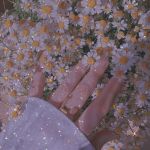 تصویر پروفایل