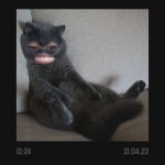 تصویر پروفایل