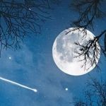 تصویر پروفایل