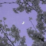 تصویر پروفایل