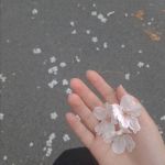 تصویر پروفایل