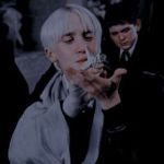 آواتار Malfoy