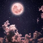 آواتار multi.F