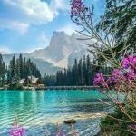 تصویر پروفایل