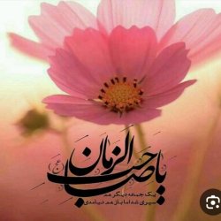 عکس خانم Pour