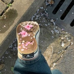 تصویر پروفایل