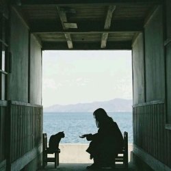 تصویر پروفایل