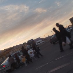 تصویر پروفایل