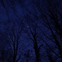 تصویر پروفایل