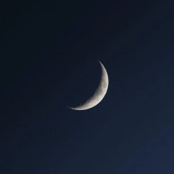 تصویر پروفایل