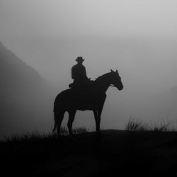 تصویر پروفایل