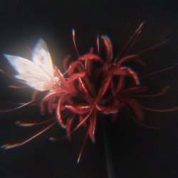 تصویر پروفایل