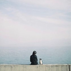 تصویر پروفایل