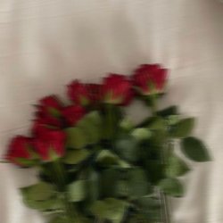 تصویر پروفایل