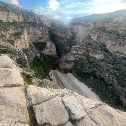 تصویر پروفایل