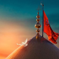 تصویر پروفایل