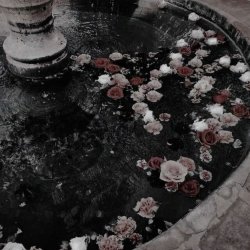 تصویر پروفایل