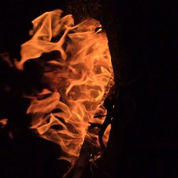 تصویر پروفایل