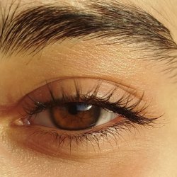 تصویر پروفایل