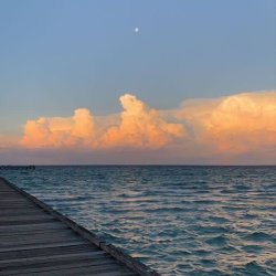 تصویر پروفایل