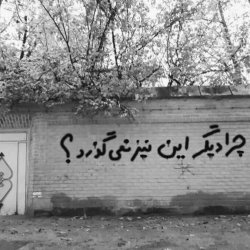 تصویر پروفایل