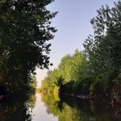تصویر پروفایل