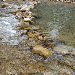 تصویر پروفایل