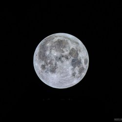 تصویر پروفایل