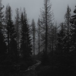 تصویر پروفایل