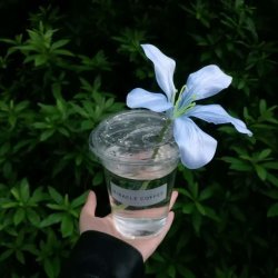 تصویر پروفایل