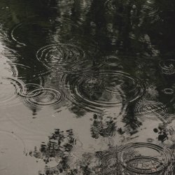 تصویر پروفایل