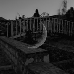 تصویر پروفایل