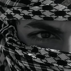 تصویر پروفایل