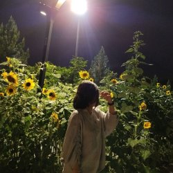تصویر پروفایل