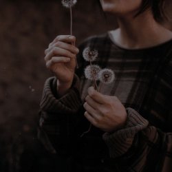 تصویر پروفایل