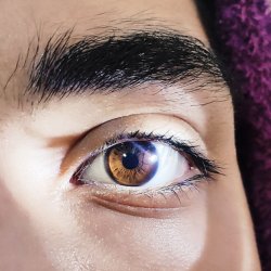 تصویر پروفایل