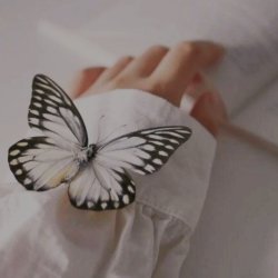 تصویر پروفایل