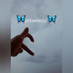 تصویر پروفایل