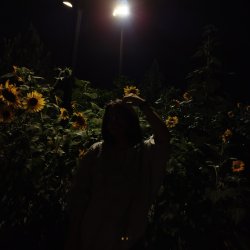 تصویر پروفایل