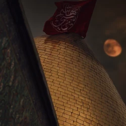 تصویر پروفایل