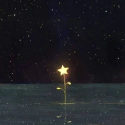 عکس 𝐾𝑎𝑦𝑜𝑟𝑎