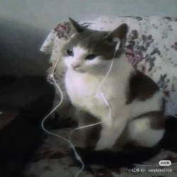 عکس بتمنعلی