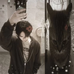 عکس 𝖺𝗅𝗏𝗂𝗇