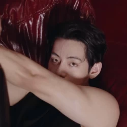 عکس 𝒃𝒊𝒔𝒄𝒖𝒊𝒕