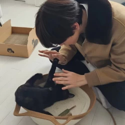 عکس Hani's squirrel