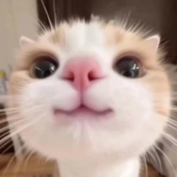 عکس اسم چی بزارم☹