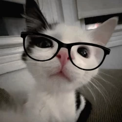 عکس مشترک مورد نظر