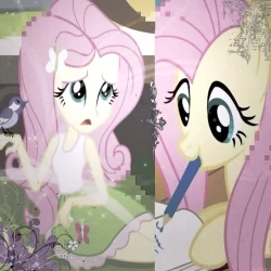 عکس استاندارسسمدارط