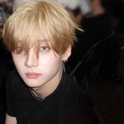 عکس Schmetterling