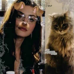 عکس ;ᴍᴇʀʟɪɴ